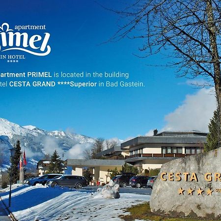 Privat Appartement Primel Im Hotel 巴德加斯坦 外观 照片