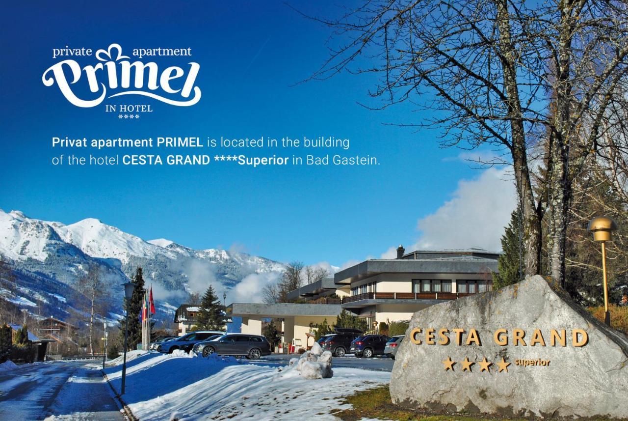 Privat Appartement Primel Im Hotel 巴德加斯坦 外观 照片